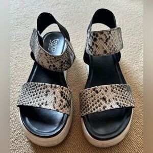 Franco Sarto sandal